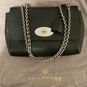 Mulberry Medium Lily